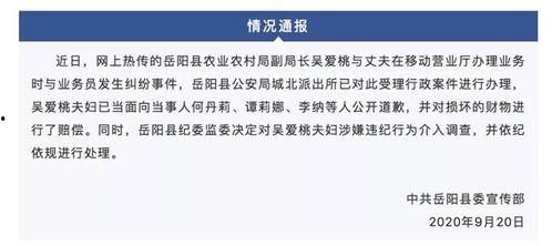 岳阳最新爆料事件视频,视频揭露惊人真相，事件引发社会关注