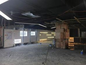 小料爆料站最新,小料爆料站独家爆料来袭！