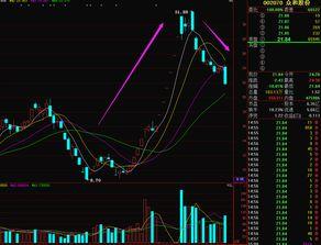 成都转机爆料最新消息,揭秘航班动态与转机攻略