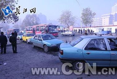 轮渡出租车最新爆料,揭秘神秘运营内幕