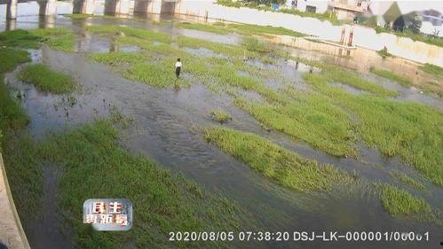 滕州小清河跳河最新爆料,揭秘真相与救援行动”