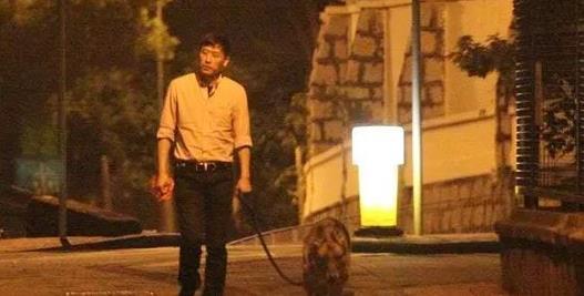 张国荣最新爆料,演艺生涯背后的不为人知故事